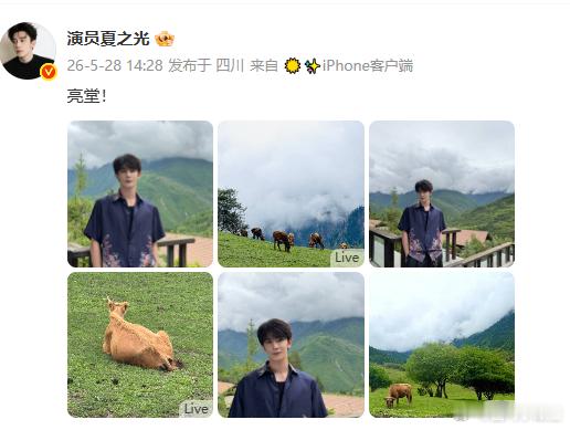 夏之光镜头里的世界好美  自然的美被完整保留，通透又明亮，像一场温柔的视觉治愈。