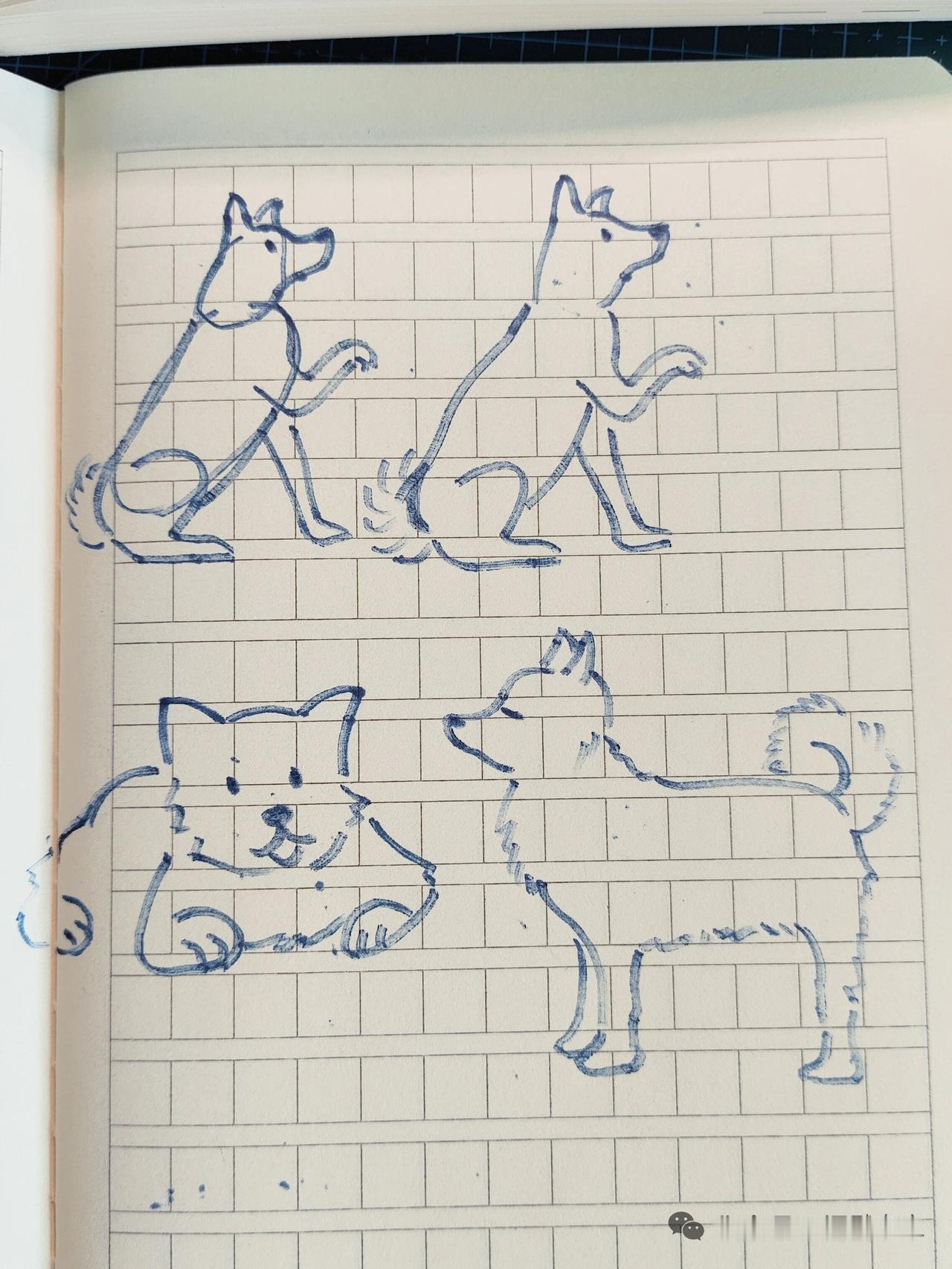 不正经画画25分钟，随便画画

吃完午饭先坐到桌子前，
随便画了25分钟。

刚
