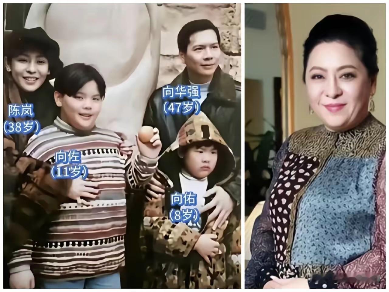 向太一家子。
​破没破产不知道。
​但是有件事确定无疑，那就是向太的好基因，真的