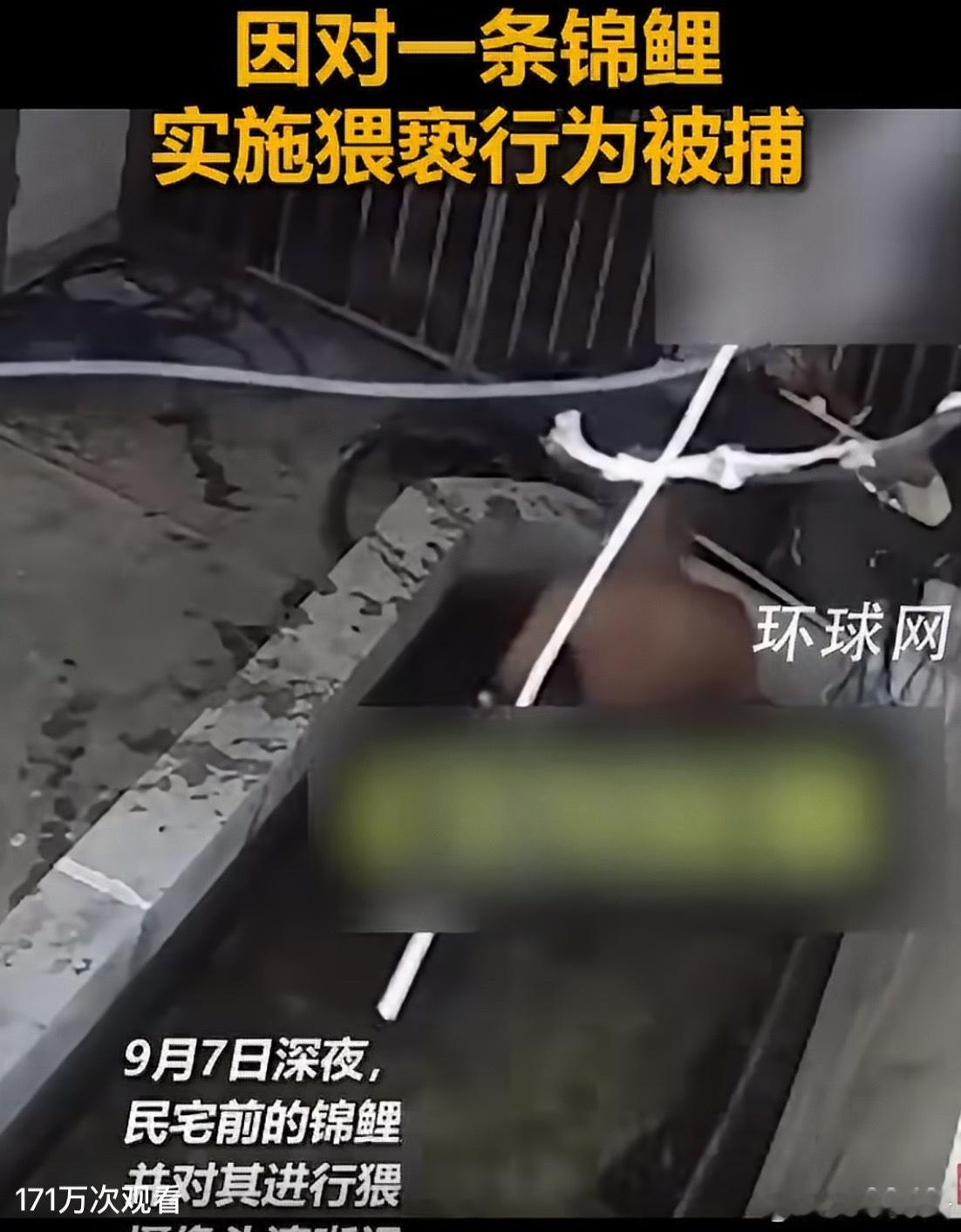 泰国一男子猥亵锦鲤被捕51岁男子脱光跳入别人家的水池，猥亵锦鲤？？？真是起早了，