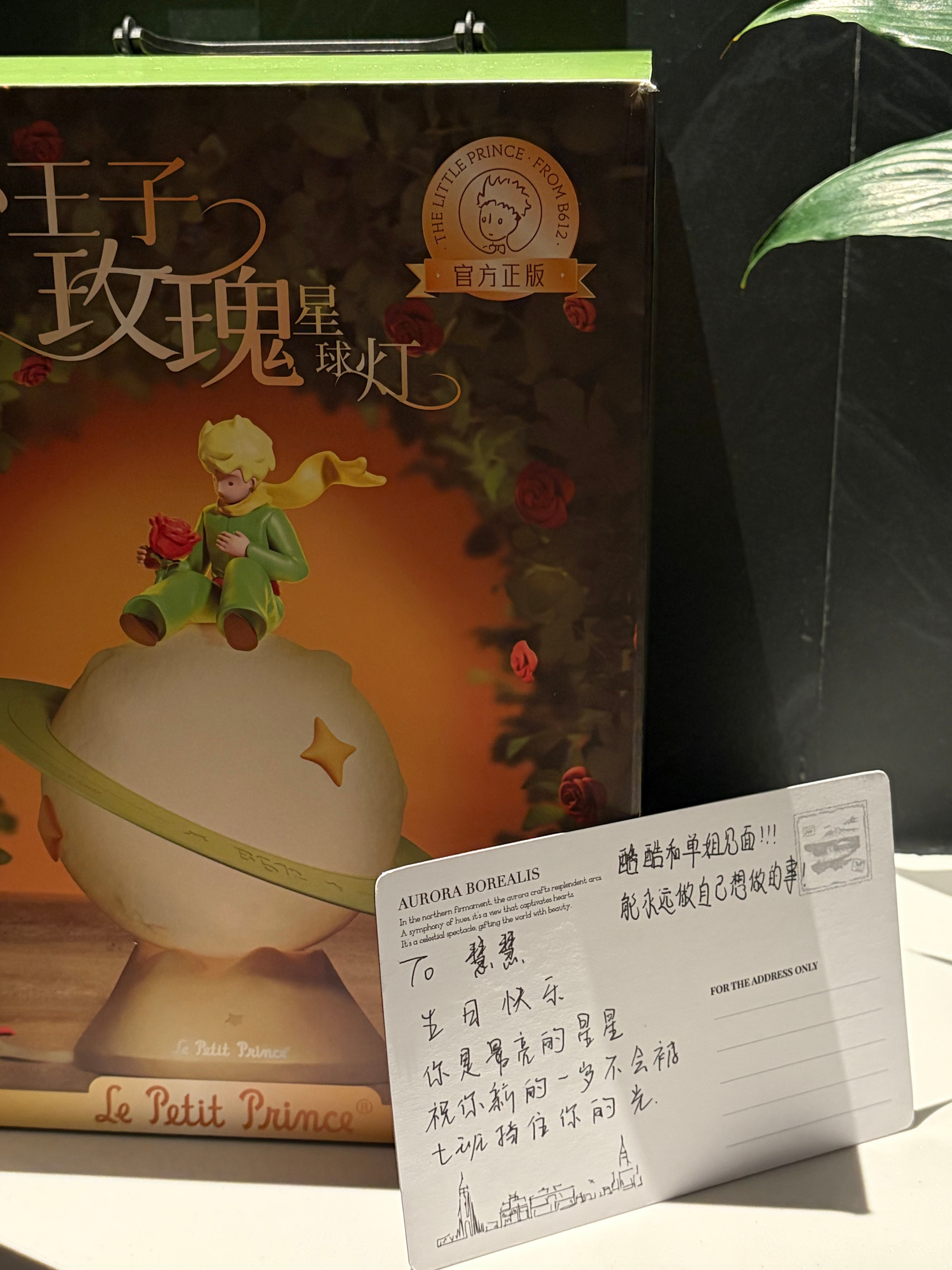二十六岁的第一天在被一些很热烈的东西治愈着 