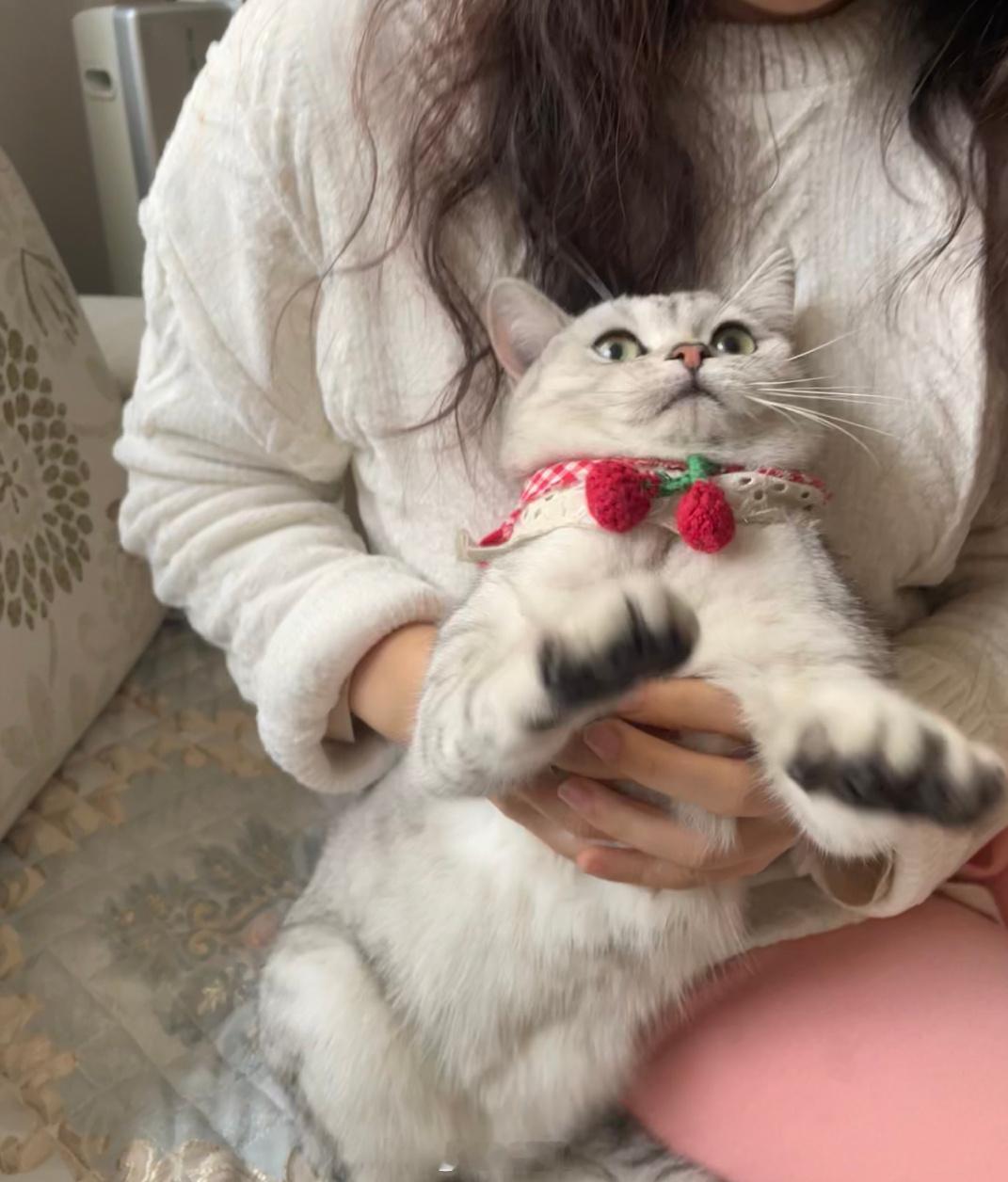 😼 ​​​