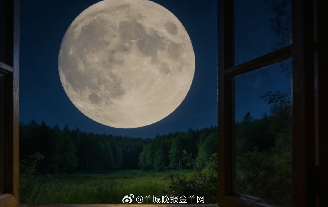 #晚安# 静静眺望远处绿意绵延的森林，夜色温柔笼罩，草木沉静安宁。卸下一日的疲惫