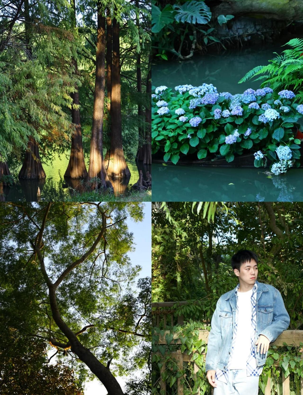 广州市区吸氧计划✅｜一个人在植物园放空半天
逃离KPI，来植物园当闲人🌱
▪️