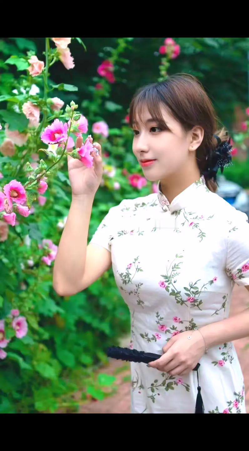 旗袍美人 优雅气质 国风古韵 清纯甜美