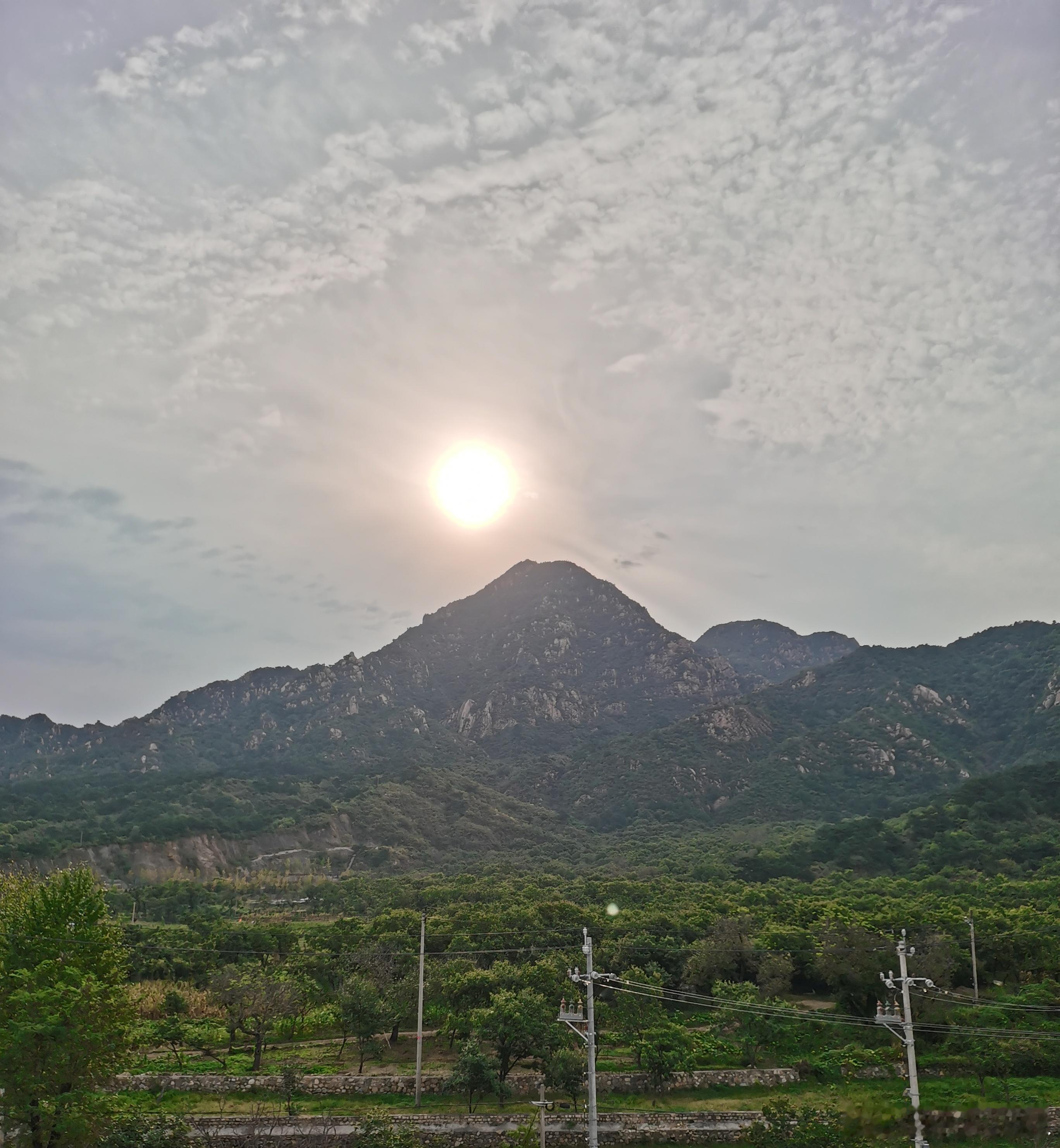 生活手记 日光倚峰，层林含翠，山野间的平静，最慰人心。[太阳][微风][微风] 