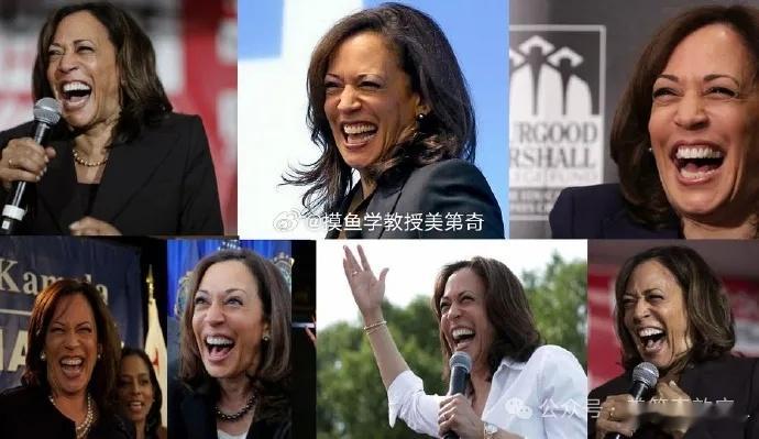 小三上位，美国分裂还差临门一脚选哈里斯上，一个是看中绿茶出身底线低，一个是看中小