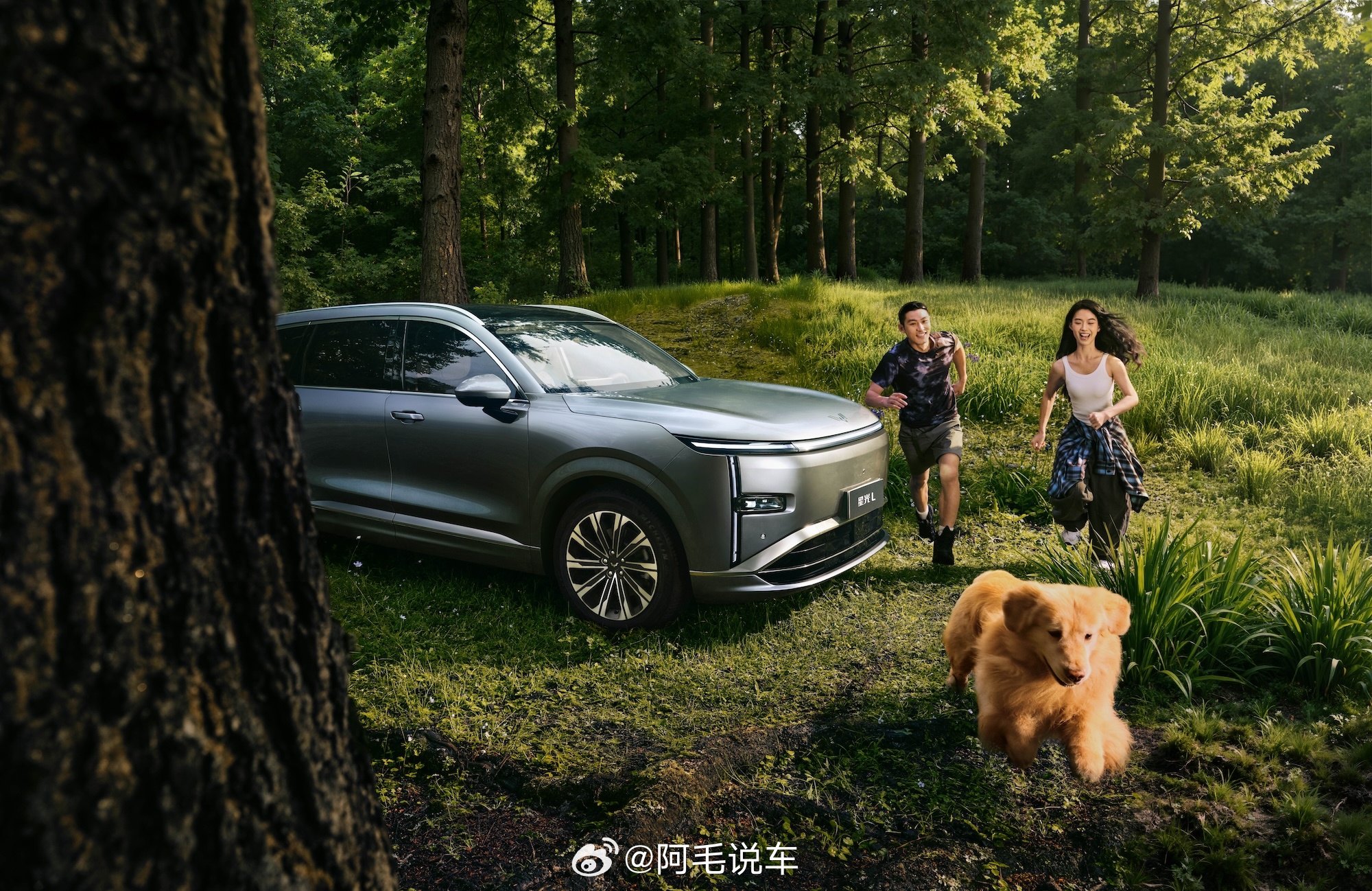 恭喜星光L，8月销量6553台，斩获大六座插混SUV销量TOP2，环比上市首月销