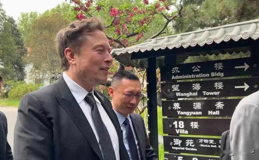 马斯克来中国，“绿牌”到手了！

库克来中国，双11爆了！

突然发现，库克、马