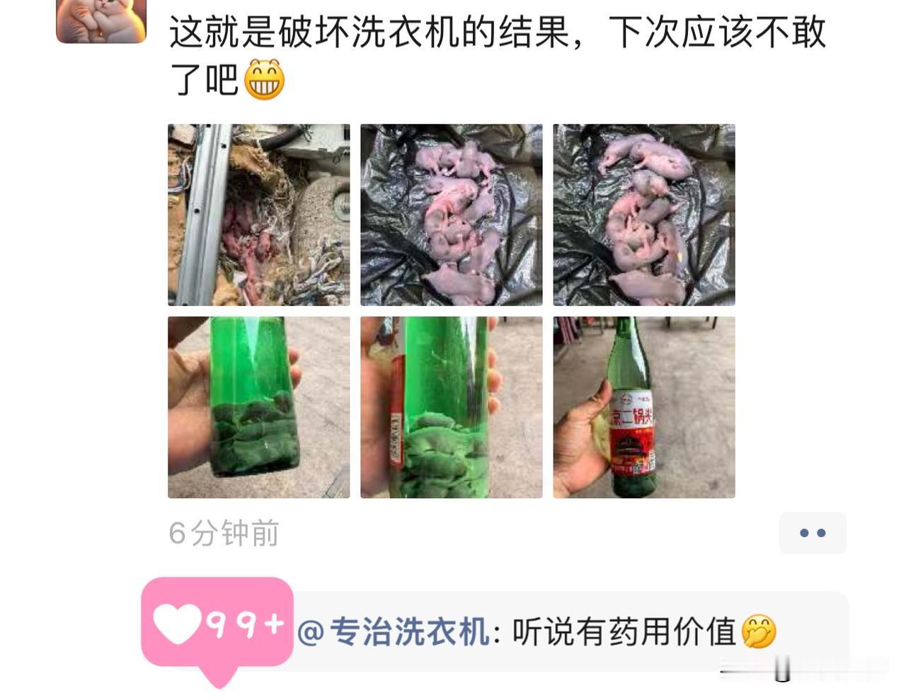 这事儿看得我头皮发麻。

用户说洗衣机坏了，找师傅上门拆开一看，里面居然藏了一窝