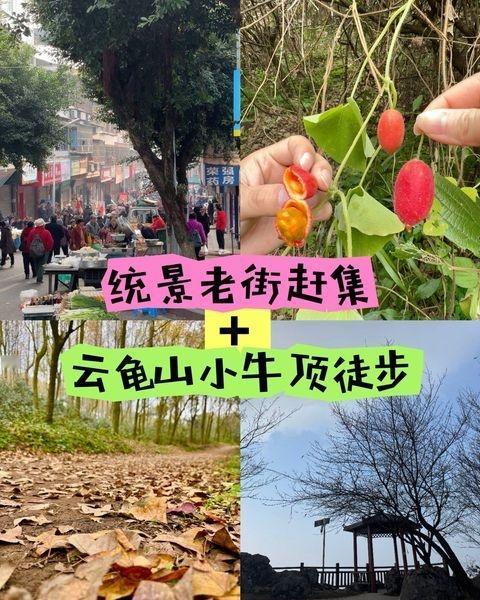 【统景赶集】+【云龟山徒步】，解锁周末新玩法
📍重庆 云龟山景区
周末就是要去