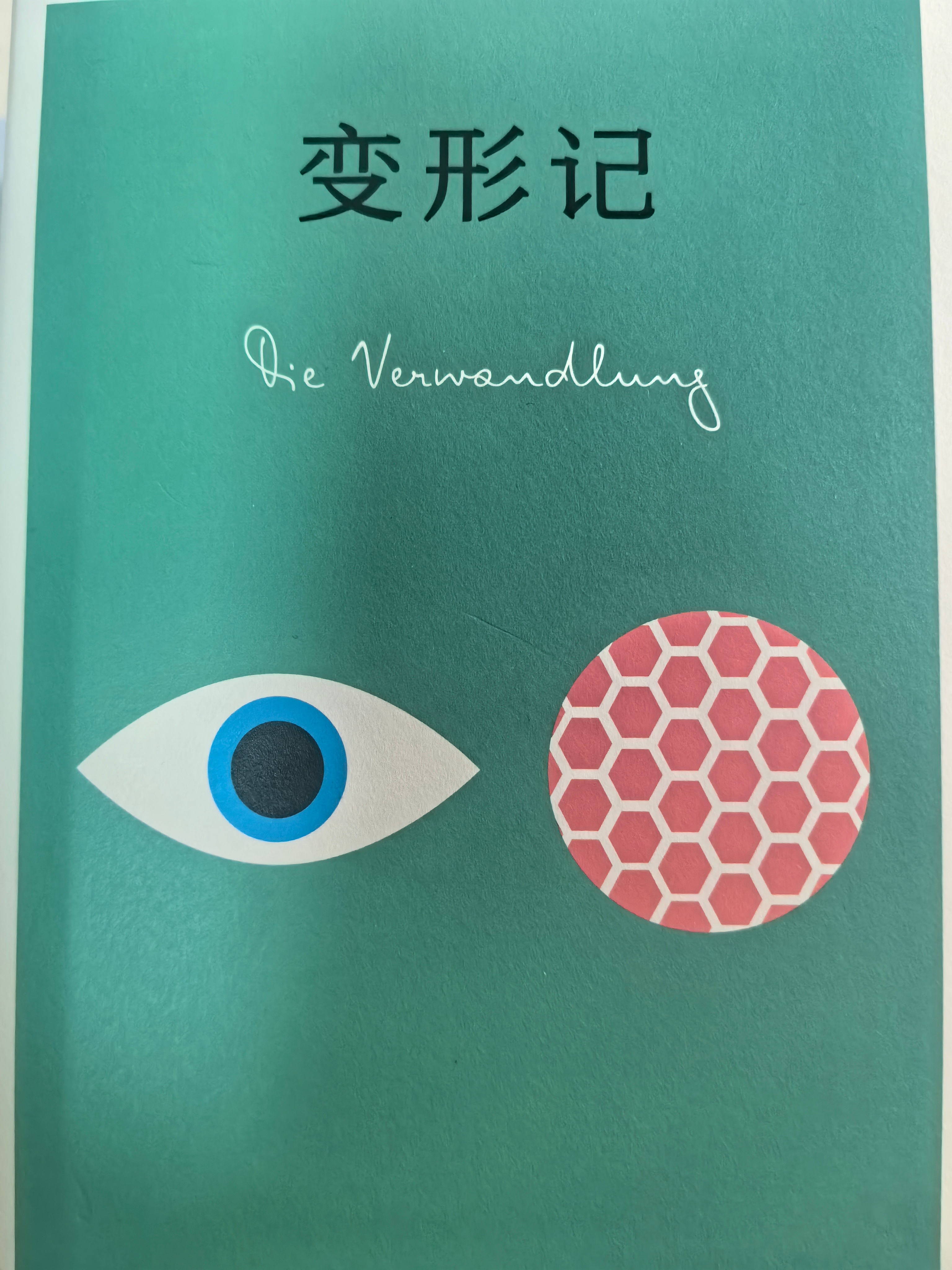 最近准备读的几本书，每本都很有意思！（除了邪典电影这本暂时没看，其他的我都看了一
