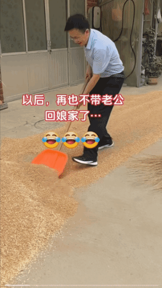 净瞎整，
不会干就别干！
刚摊开晒的麦子，
你又给堆起来！