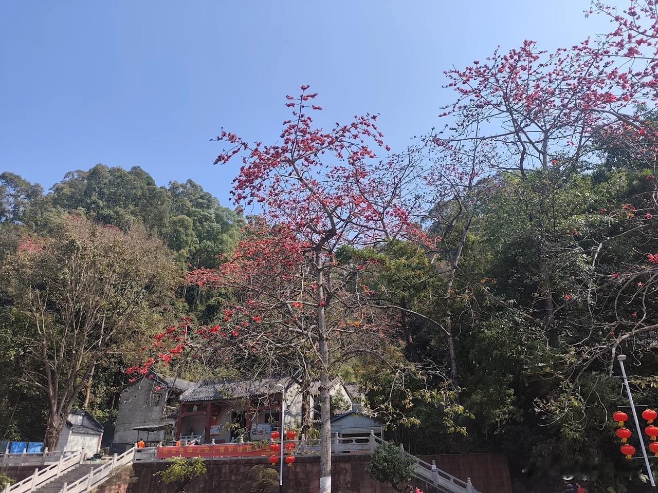 天南地北大拜年东莞水濂山森林公园不但有山有水还有瀑布和桃花岛，大年初二就去了，走