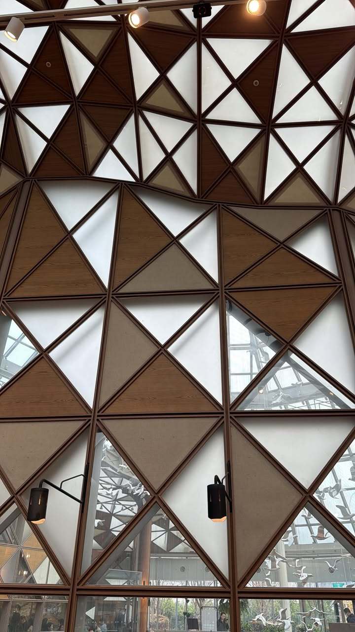 “CB百蓝_。251123 ins story更新： 