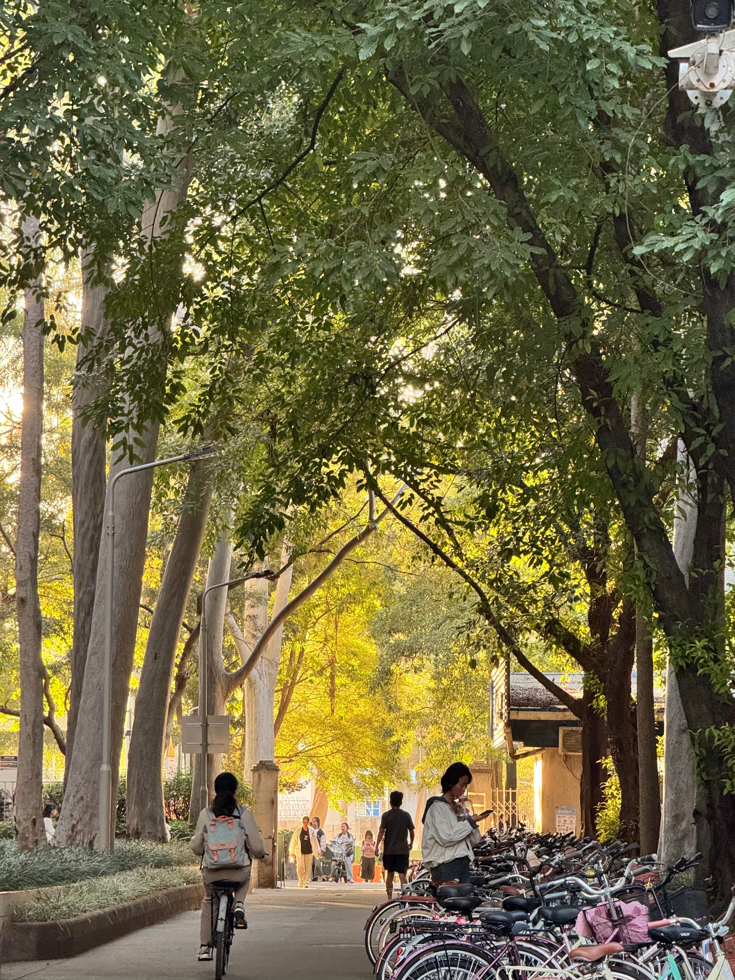 开学第一周vs开学第二周 本想做少数派惊艳众人，开学第二周才发现，大家都在同步省