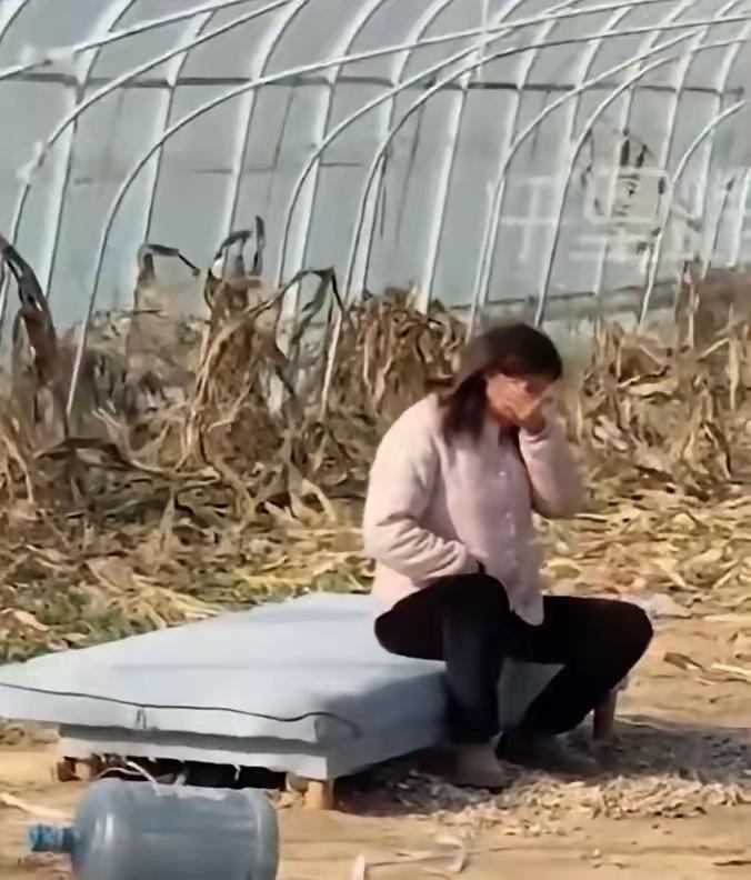 在农村无论家庭养鸡鸭鹅羊猪还是狗，最后往往都是用来吃肉，或者是用来卖钱的。小时候