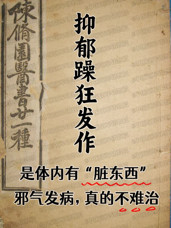 双相情感障碍——抑郁躁狂发作。是体内有“脏东西”，邪气发病，真的不难治！