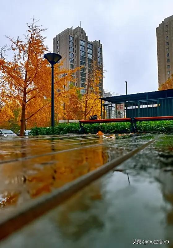 一地落叶恨秋雨、
契合自愈思情缘、
风飘贤荷华满堂、
落叶秋霜亲惫倦、
浩瀚桄星