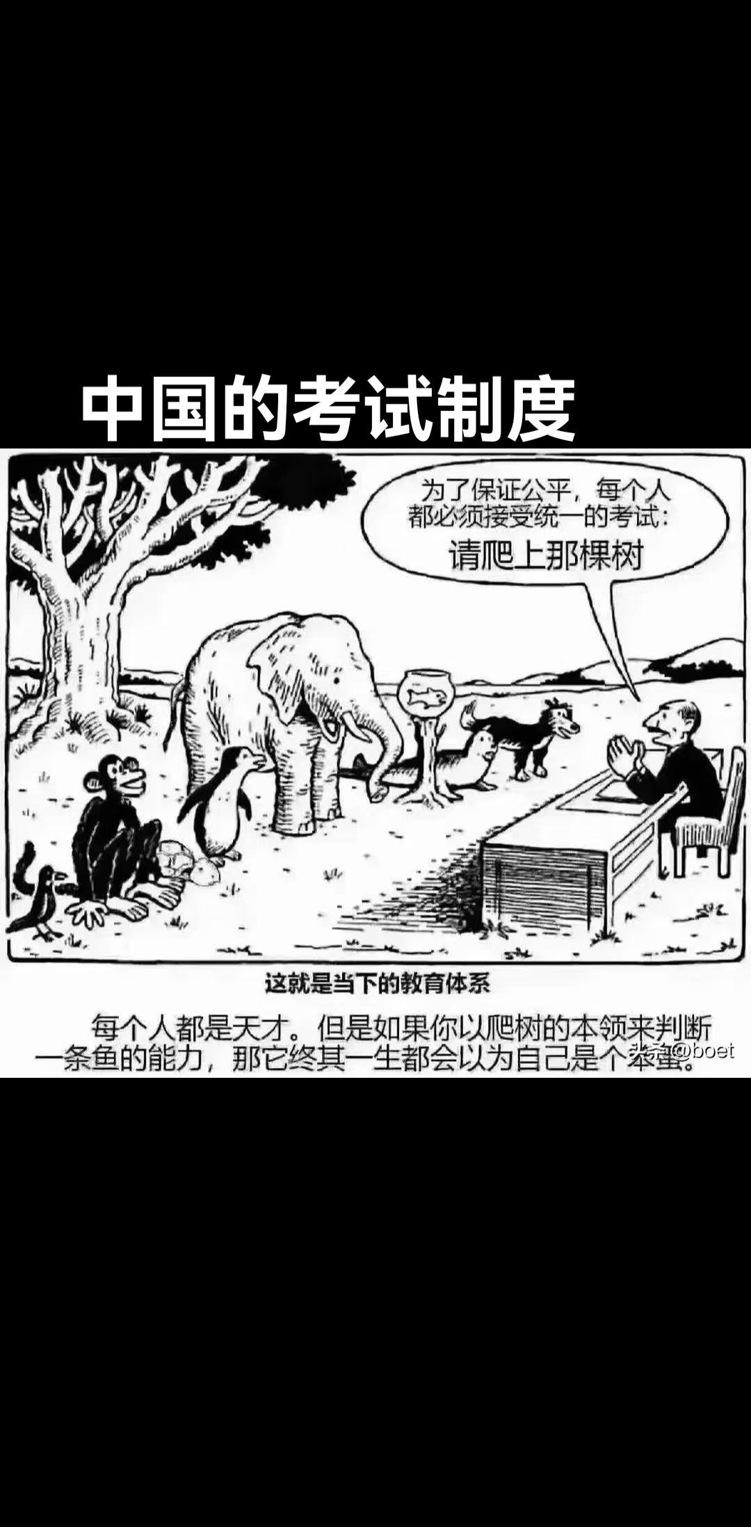 考试为了什么。