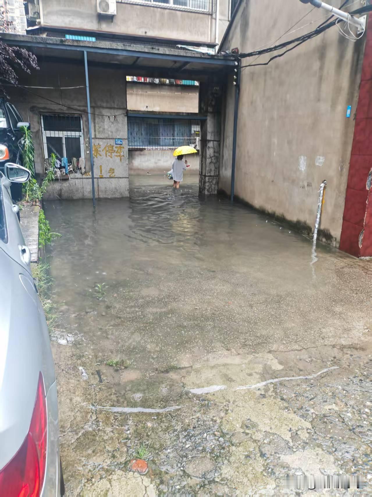昨天晚上下班开始下小雨，到家没多久越下越大，预报真准虽然大家心里有准备，但是没想
