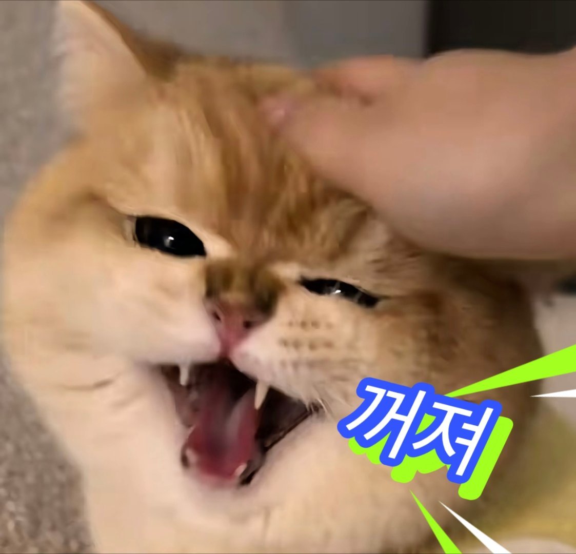 感觉王一博像唐僧肉，男的女的谁都想来吃一口，包括太监 