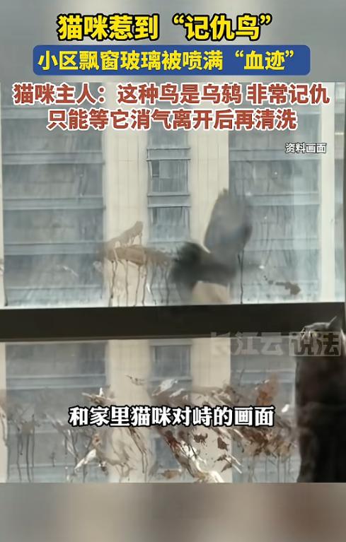 “哭笑不得”！近日，浙江宁波，一女子在家时，发现玻璃上出现一道道暗红色的痕迹，拍