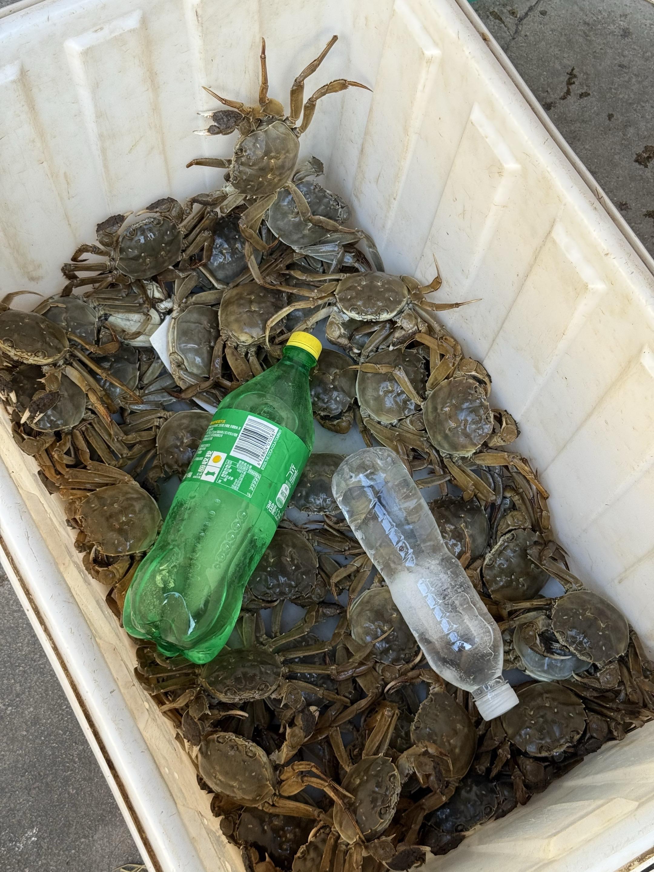 到货啦，到货啦