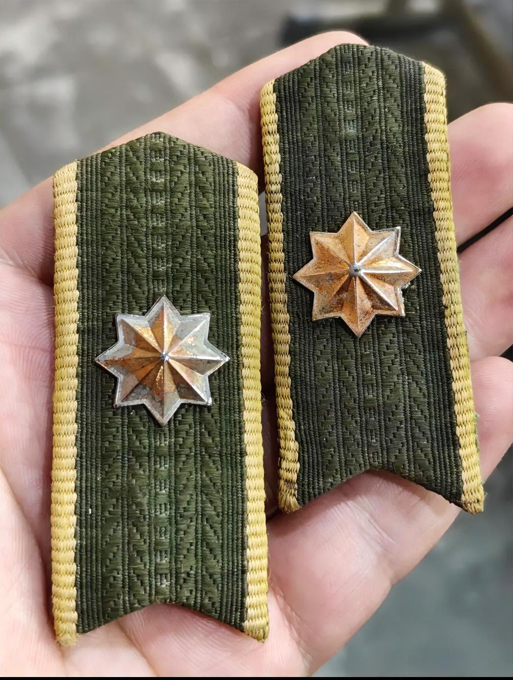 哪位老师知道这是退役的人民警察什么领章？