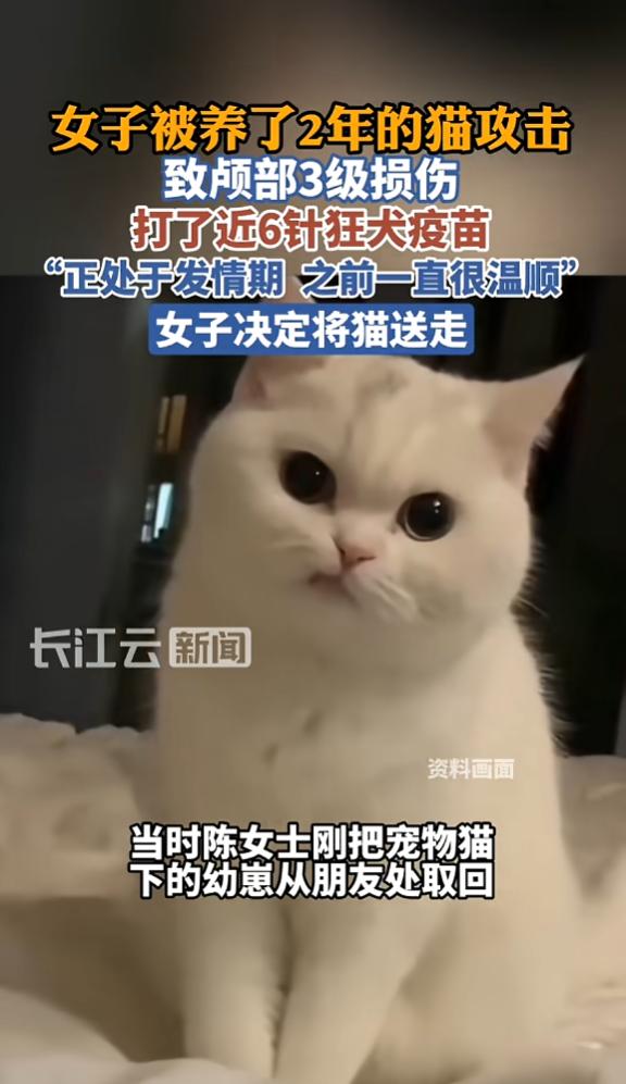 “着实吓人！”5月27日北京一名女子在家正常清理猫砂，全程没有招惹猫咪，结果养了