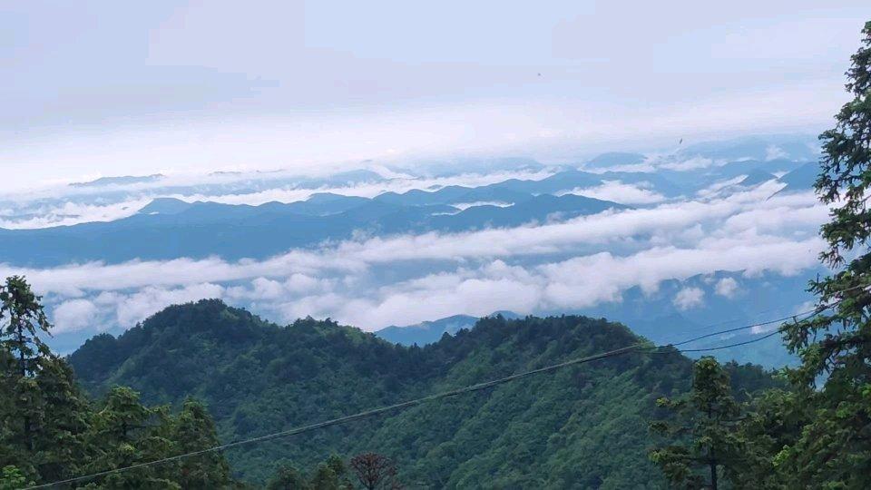 男子陪父母参加“248元三天两晚老年团”后续：不购物不卖课，爸妈说去过吃得更好的