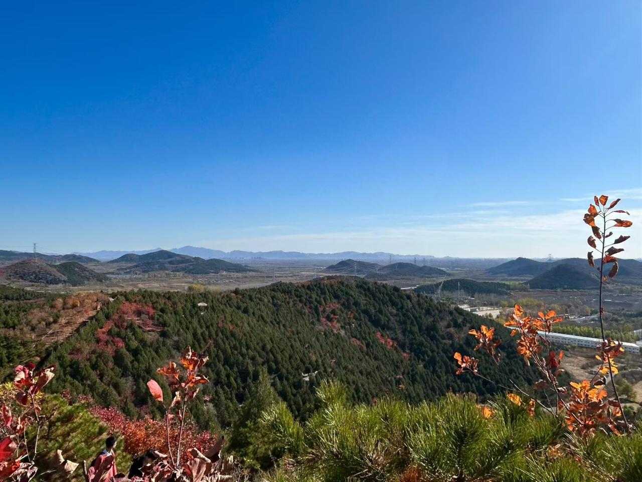 这些标准都是为了寻找合适伴侣的合理期望