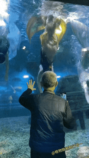 男人不挂墙上都不老实！
一位老爷子在海洋馆观看美人鱼表演，看到美人鱼游过来，大爷