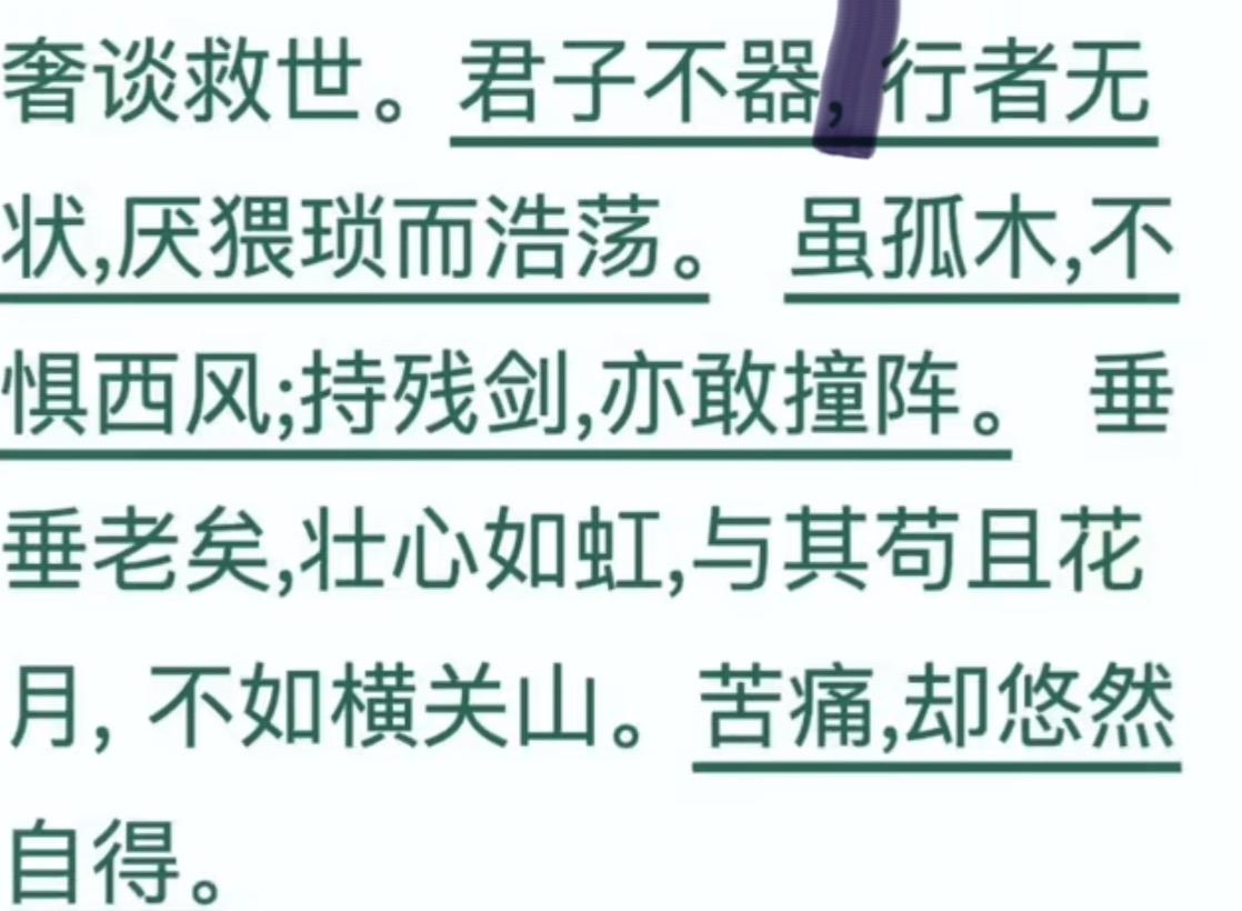 吾辈浩浩荡荡，岂能不如垂垂老翁。