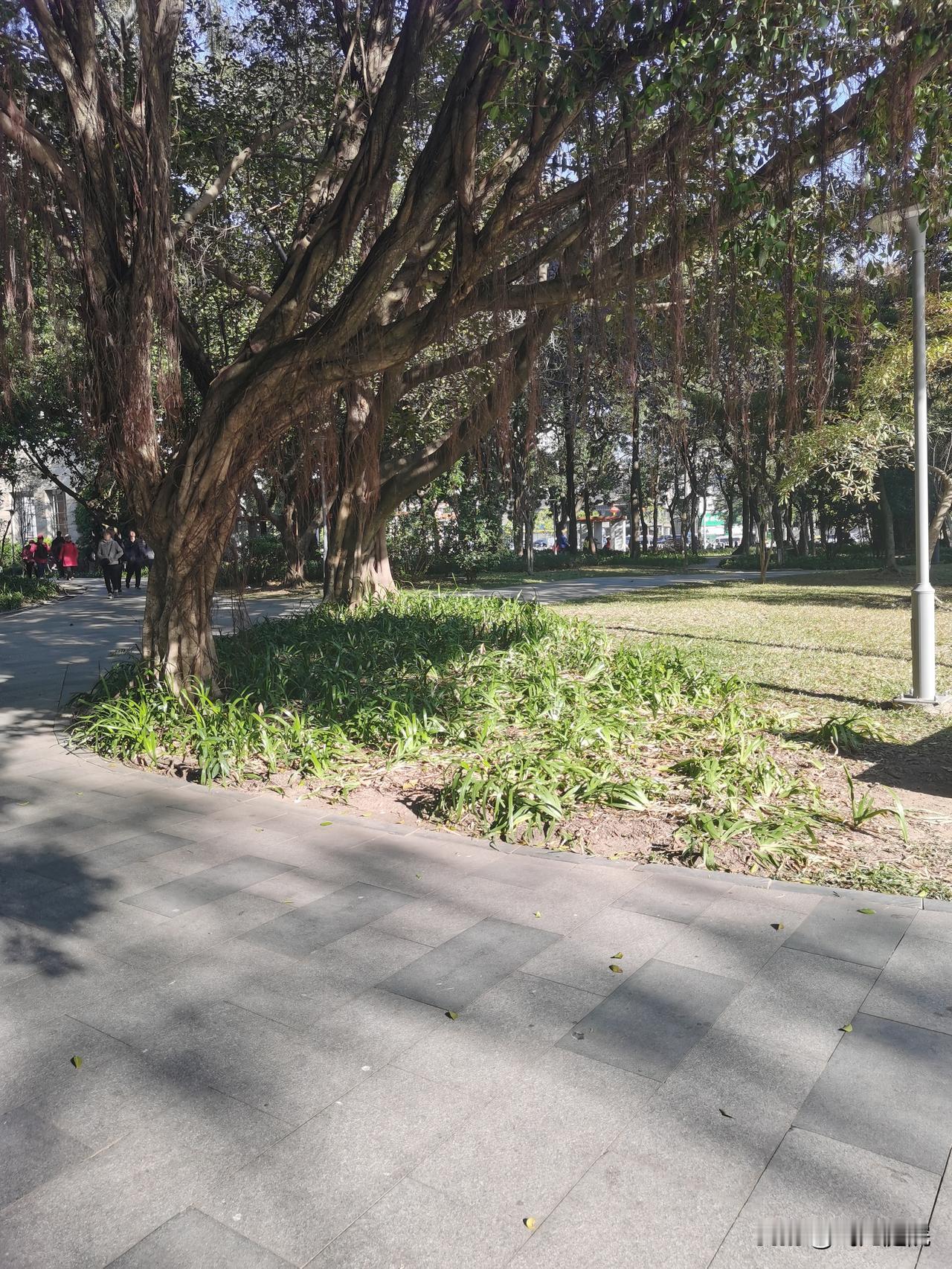 看到有律师说不当言论，说什么夫妻亲热前，建议躲着录音。竟然是女律师说的。律师这样