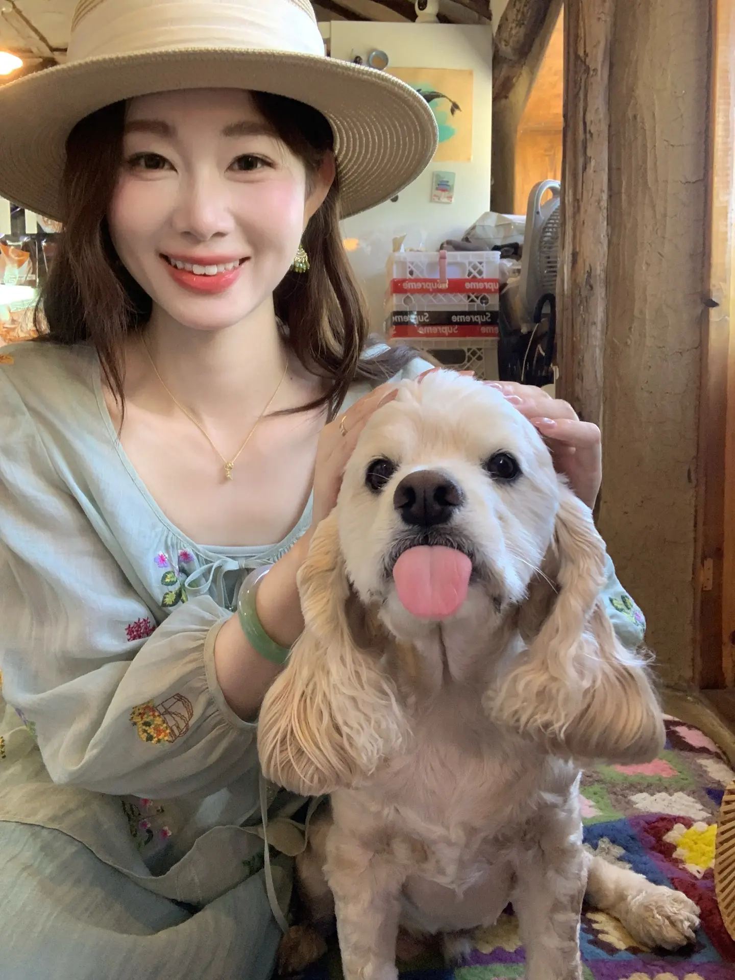 ૮ฅ'ᴥ'ฅაJeju 海边的小狗咖啡店。🫧💭🐶