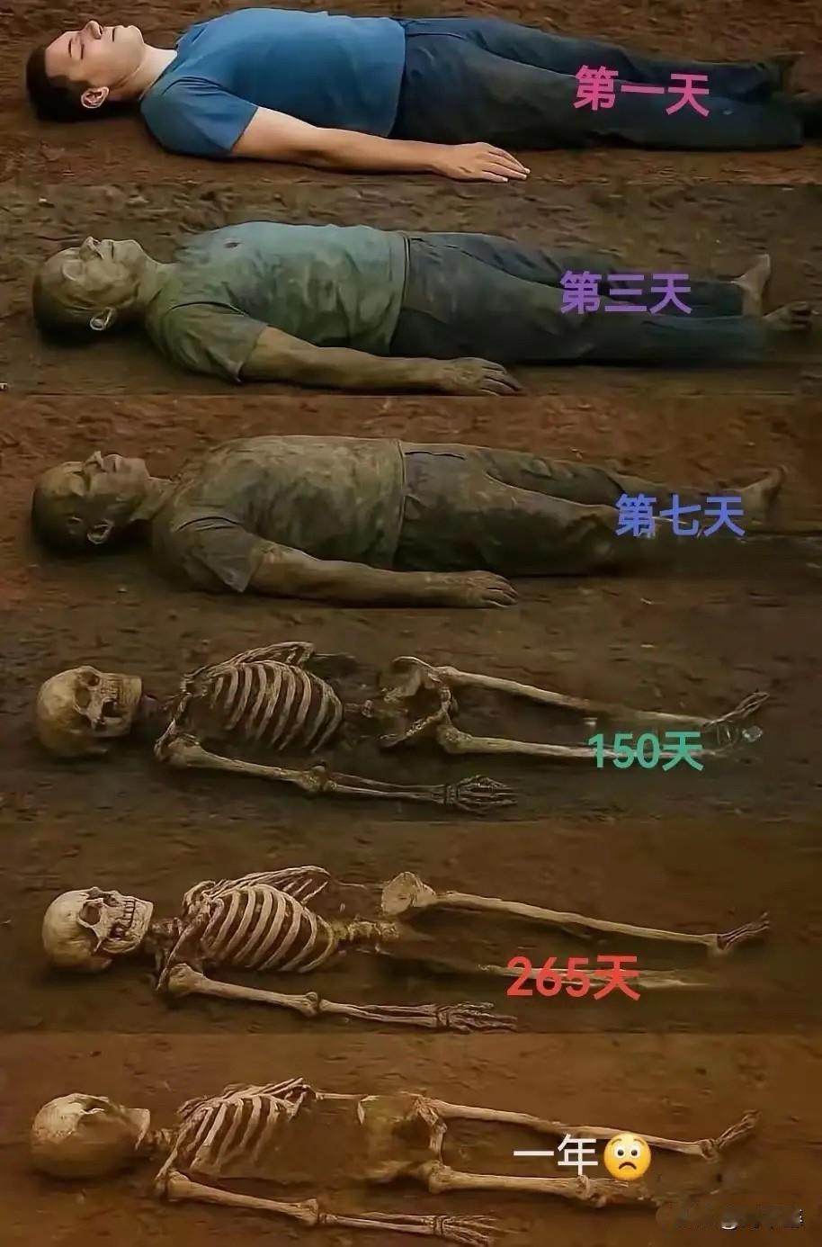 人生只有一次，生命只有一场。
人只有到死那的一天才知道，原来一切都是空的。人生不