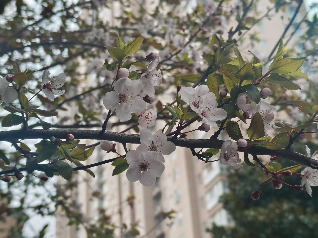 在自己的世界里独善其身，是对自我的尊重与坚守。每个人都是一个独立的个体，拥有属于