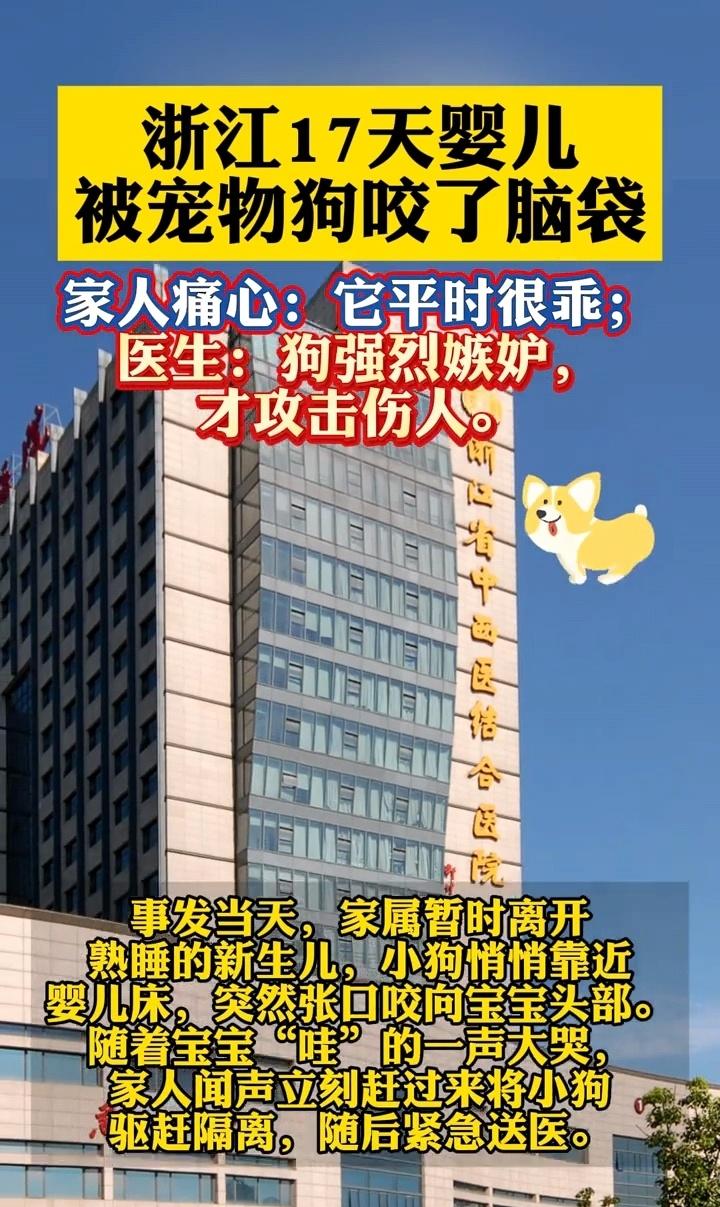2026年7月，浙江杭州一对年轻夫妇抱着襁褓中的婴儿冲进浙江省中西医结合医院（杭