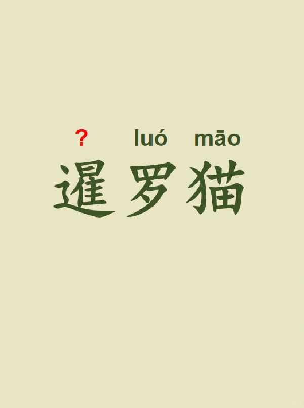 今天来学习——暹罗猫