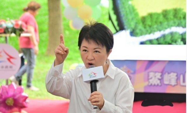 原来，卢秀燕此前曾对军购预算“下指导棋”。卢秀燕接受媒体采访，针对军购预算她主张