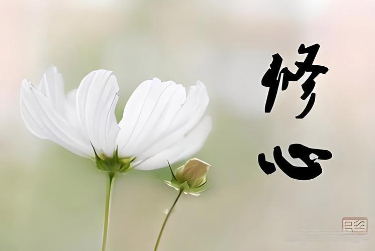 人生修到第10层，才叫真正的活明白

1、把抱怨戒掉，是成熟——抱怨没用，一切靠