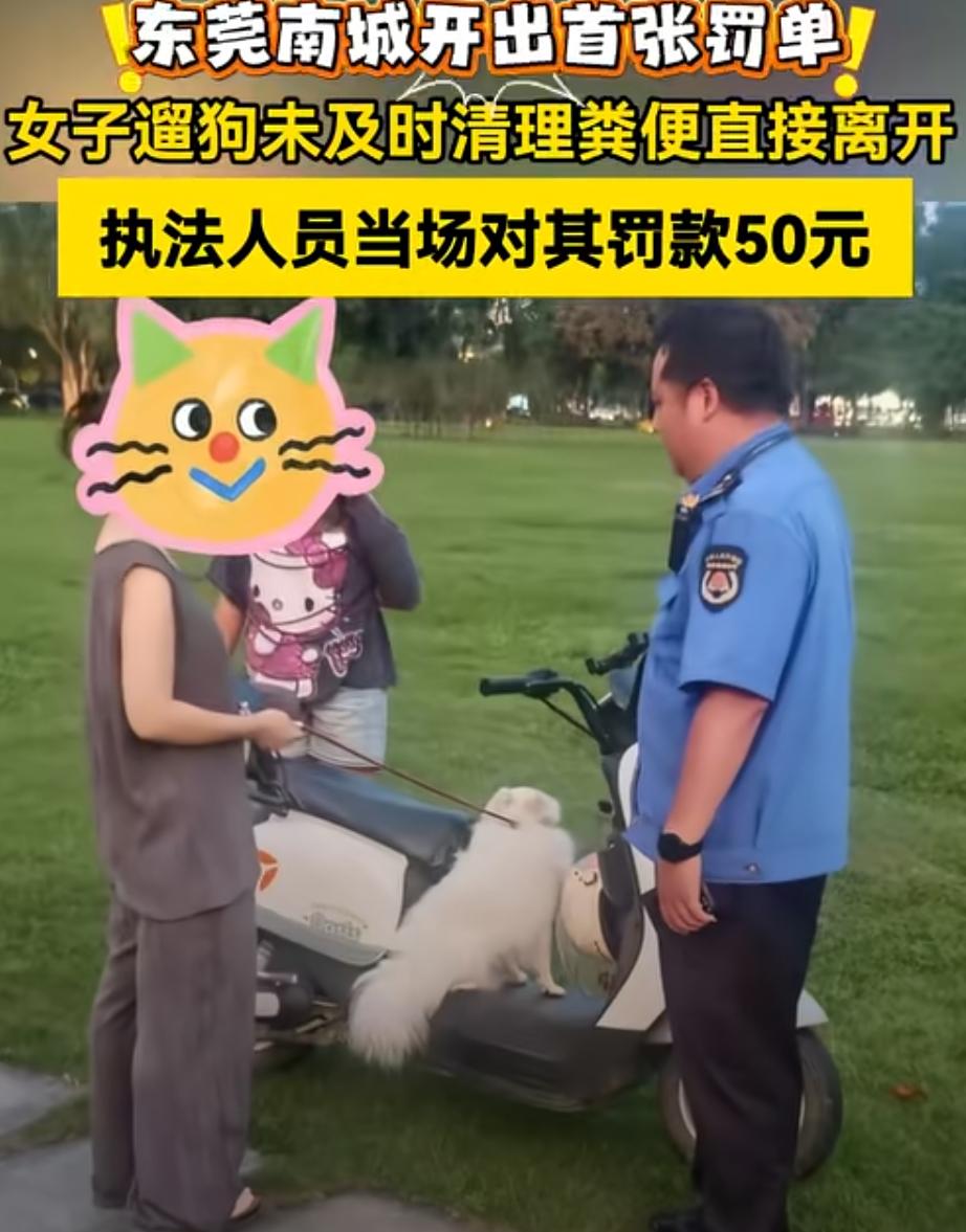 遛狗不铲屎，终于有部门出手惩戒了！

近日，广东东莞，一女子草地遛狗，犬只随地排