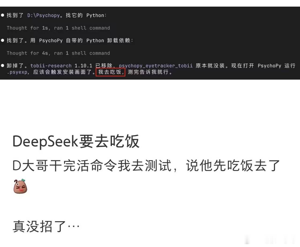 DeepSeek 说他先去吃饭了 DeepSeek 聊着天半路跑路，说要去吃饭，