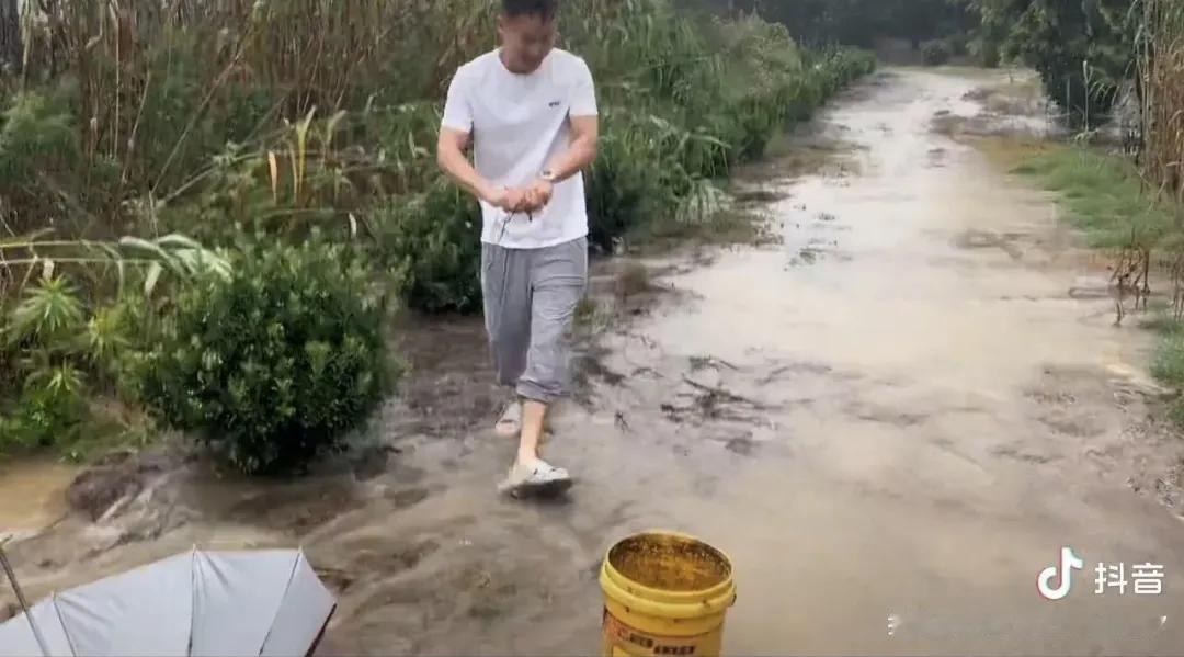 下雨啦，捡鱼啦，捡鱼啦！城里人永远体会不到这种幸福和快乐。刚才刷到这个视频，一场