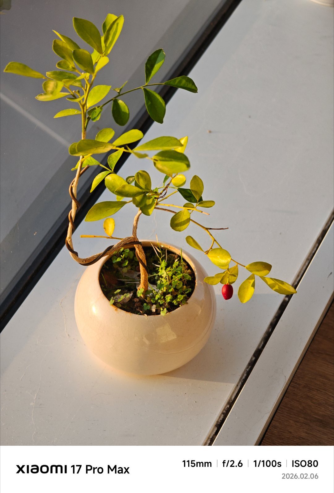 说真的，小米徕卡全球影像大赛这届确实很有意思，主要打动我的不是参数党路线，而是人