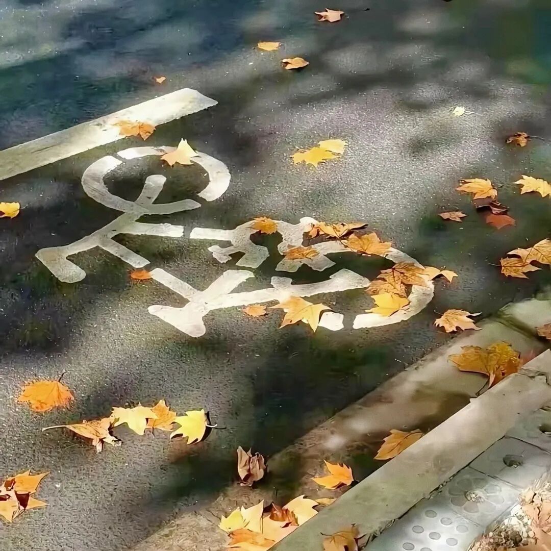 生活嘛，就是不断的接受现实，承认自己的平凡，努力朝前走，该来的总会来。 ​​​