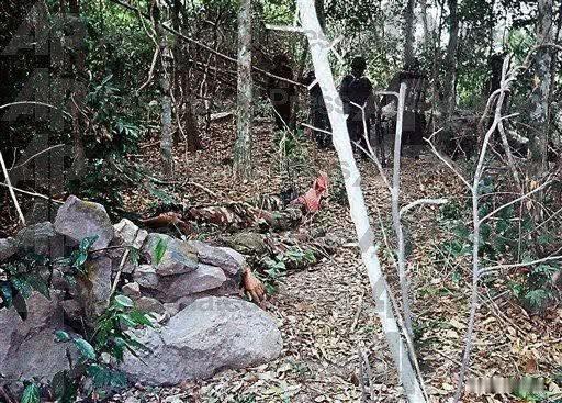 泰国“强烈要求”柬埔寨军队尽快将边境冲突中阵亡的柬军士兵遗体从前线带回。现在大批
