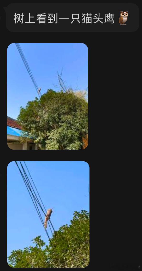 ？？？ 