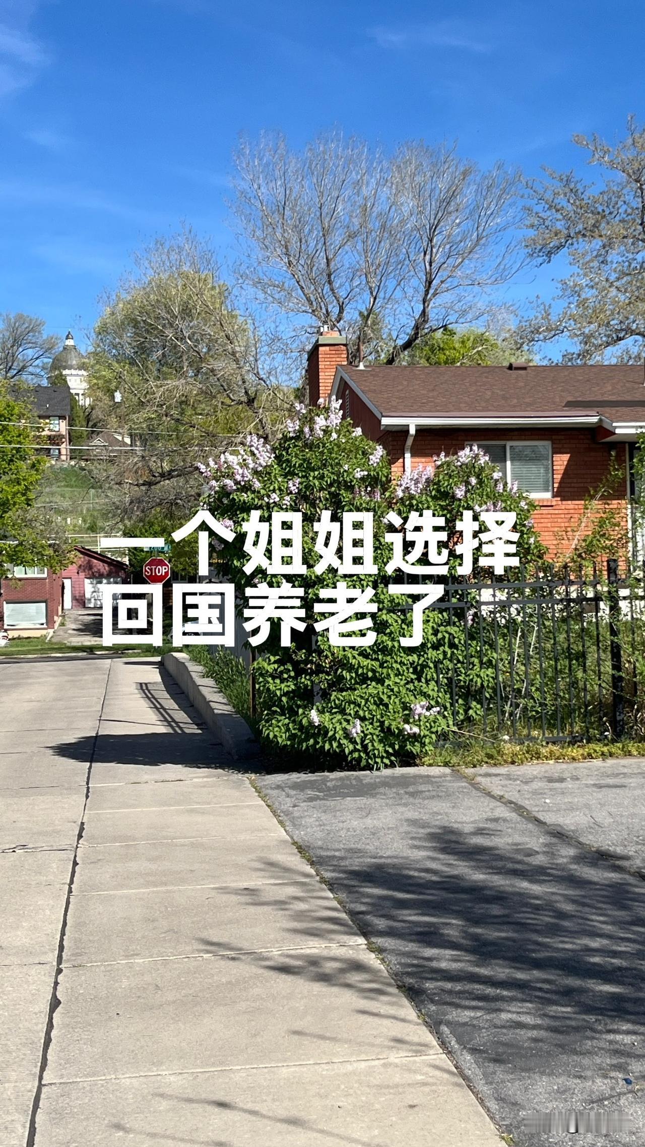 昨天约了一个4月份回国养老的大姐出去走走。

结果她正和一个老乡吃饭。
那个老乡